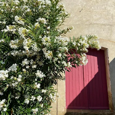 La Bastide Saint Etienne Holiday home